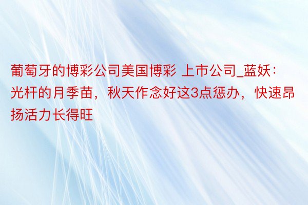 葡萄牙的博彩公司美国博彩 上市公司_蓝妖：光杆的月季苗，秋天作念好这3点惩办，快速昂扬活力长得旺